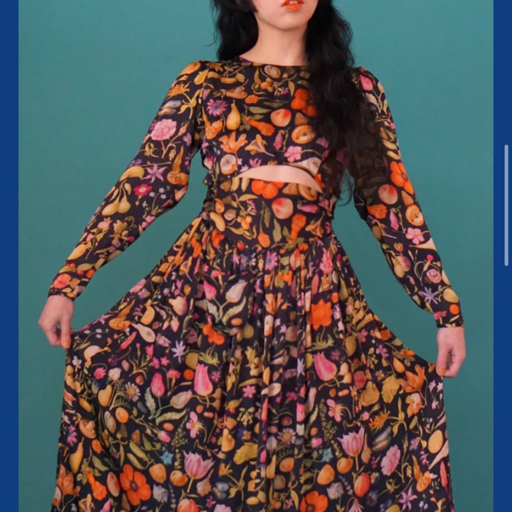 Samantha Pleet Forager Print Dress